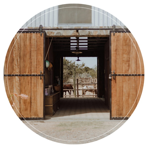 Doors and Windows - Image 2.png