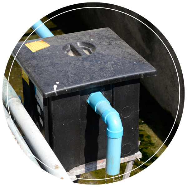 Outdoor grease trap tank, outside a restaurant Outdoor grease trap tank, outside a restaurant