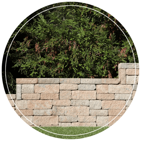 Walls and Railings PB Image 1.png