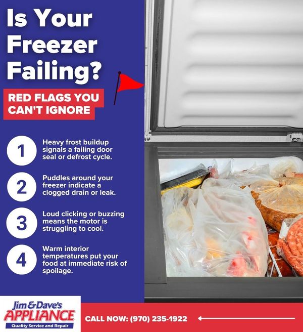Is Your Freezer Failing Infographic