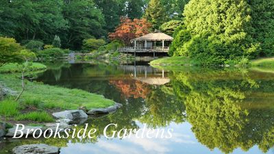 Brookside Gardens