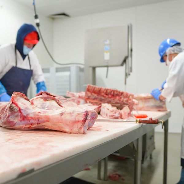 4 What Types of Meats Can You Bring for Processing_ A Complete Guide.jpg