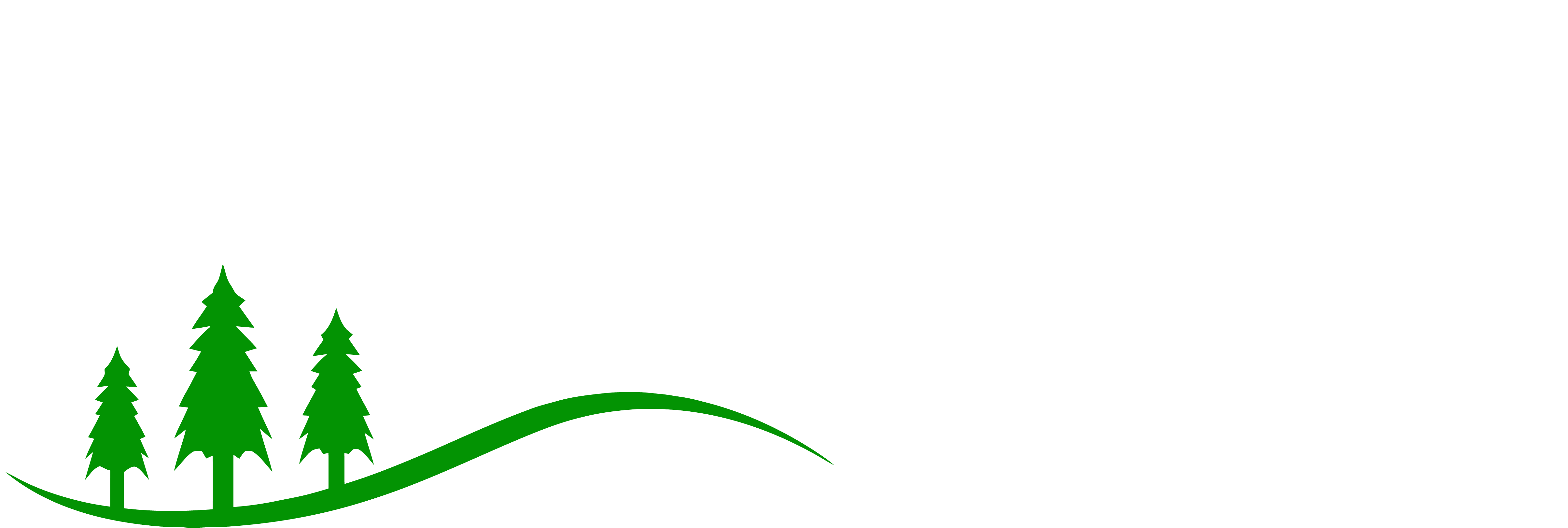 Sierra IT Consultants