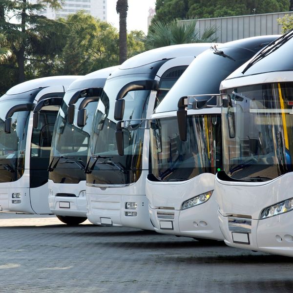 charter bus fleet