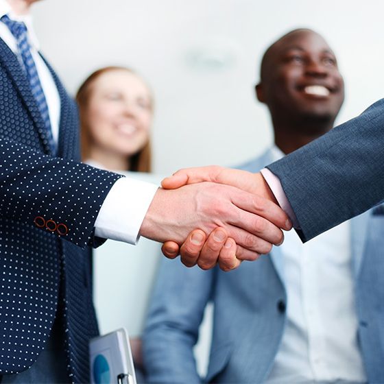 Two business people shaking hands