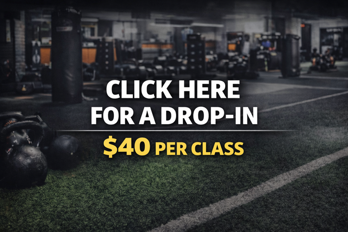 ChatGPT Image Feb 4, 2026 at 09_43_11 AM.png