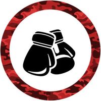boxing-icon-300x300.jpeg