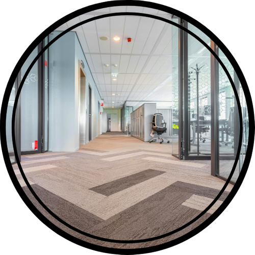 Carpet Cleaning-1.png