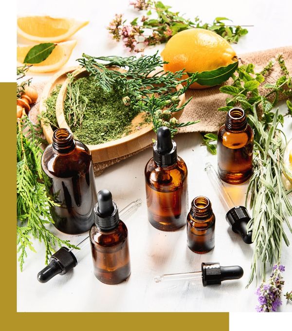 A variety of herbs laid out around amber dropper bottles of essential oils