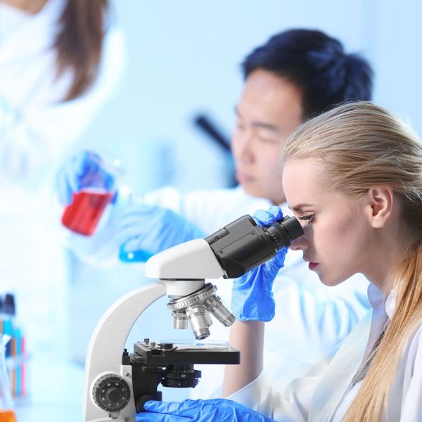 Lab workers looking into a microscope