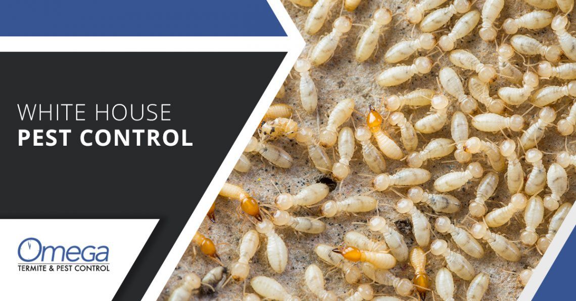 White House Pest Control