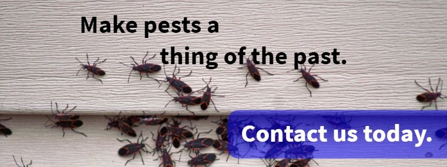 Make pests a thing of the past