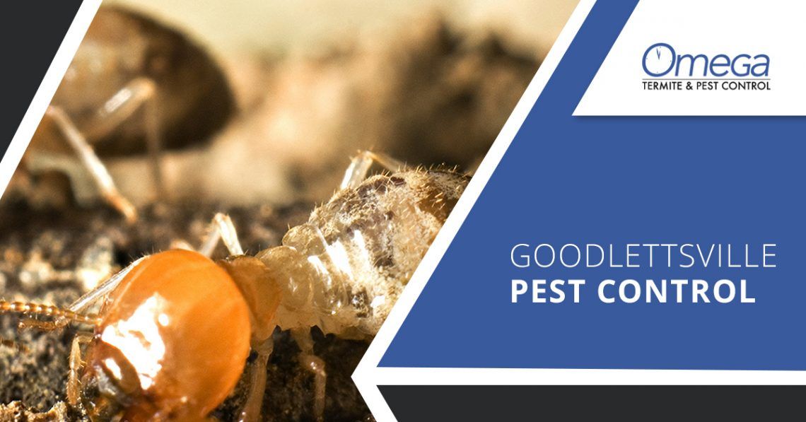 Goodlettsville Pest Control