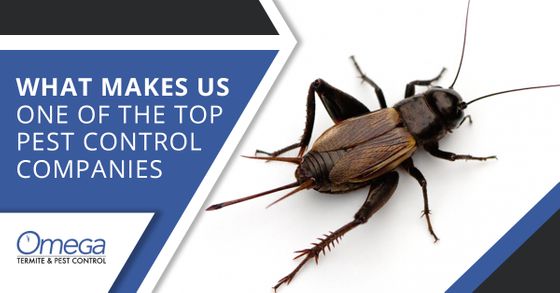 What makes us one of the top pest control companies