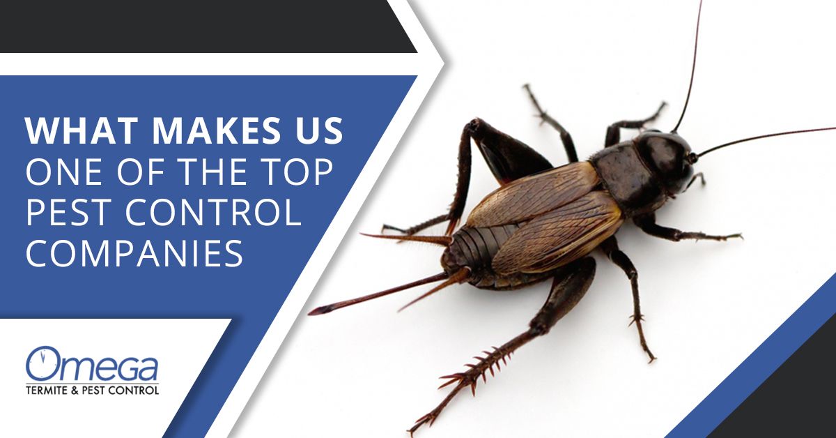 What makes us one of the top pest control companies