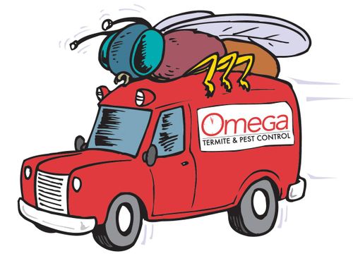 Omega Truck graphic