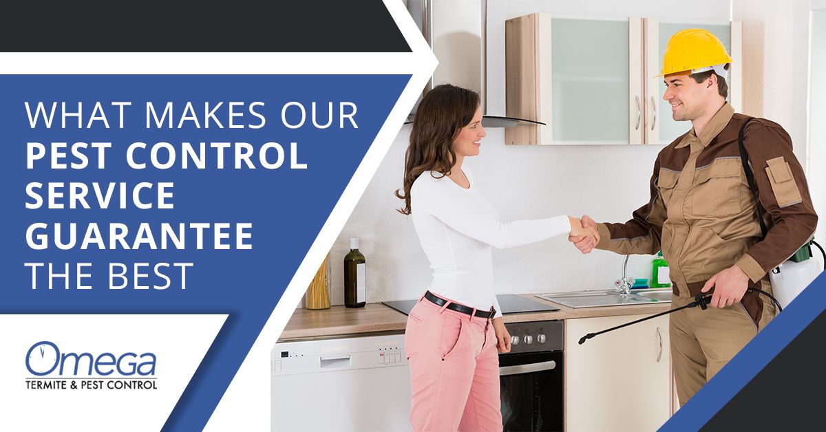What makes our pest control service guarantee the best