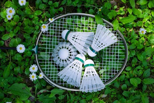 Badminton Lightweight Materials .jpg