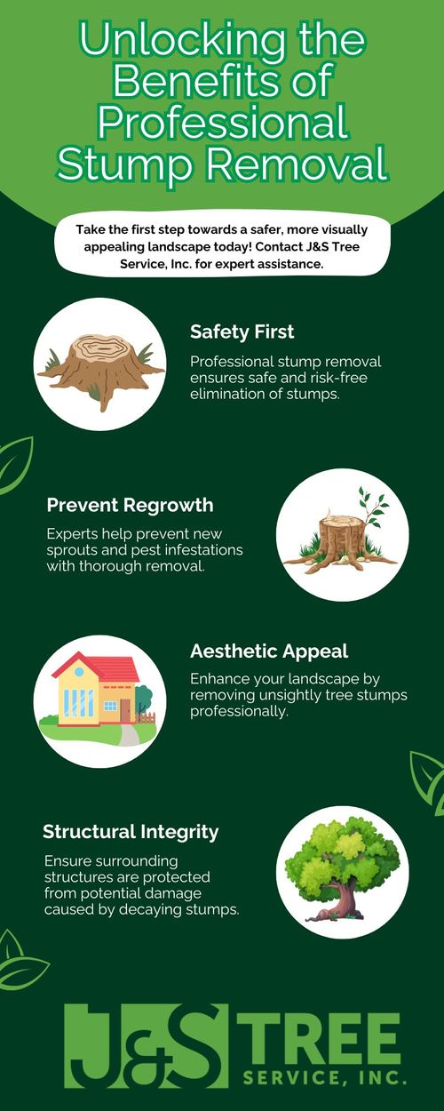 Benefits of Professional Stump Removal