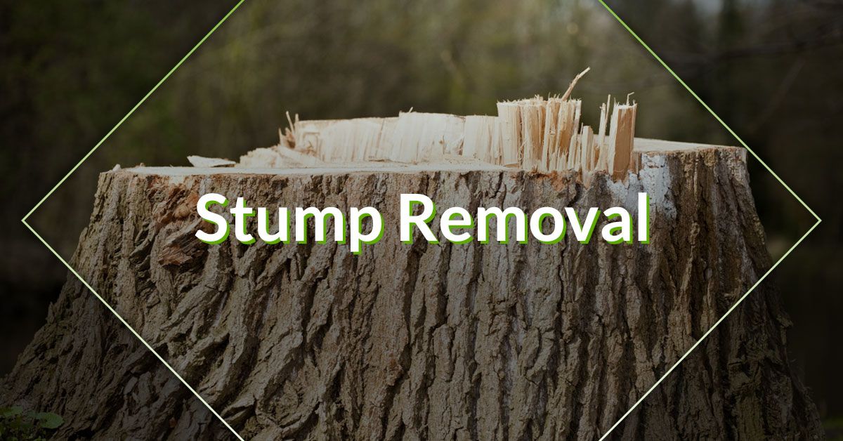 stump removal