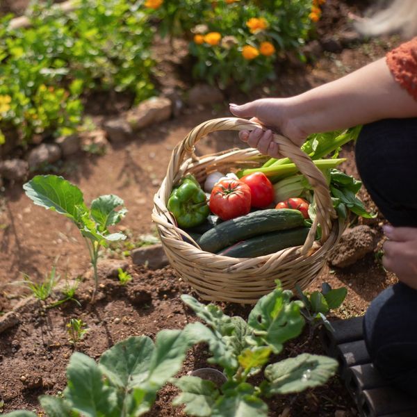woman carrying a basket of vegetables through a garden