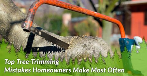 TOP TREE-TRIMMING MISTAKES HOMEOWNERS MAKE MOST OFTEN