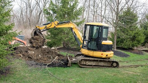 M11335 - J and S Tree Service Inc. - Four Ideas for Filling the Empty Space Where a Tree Was featured img.jpg