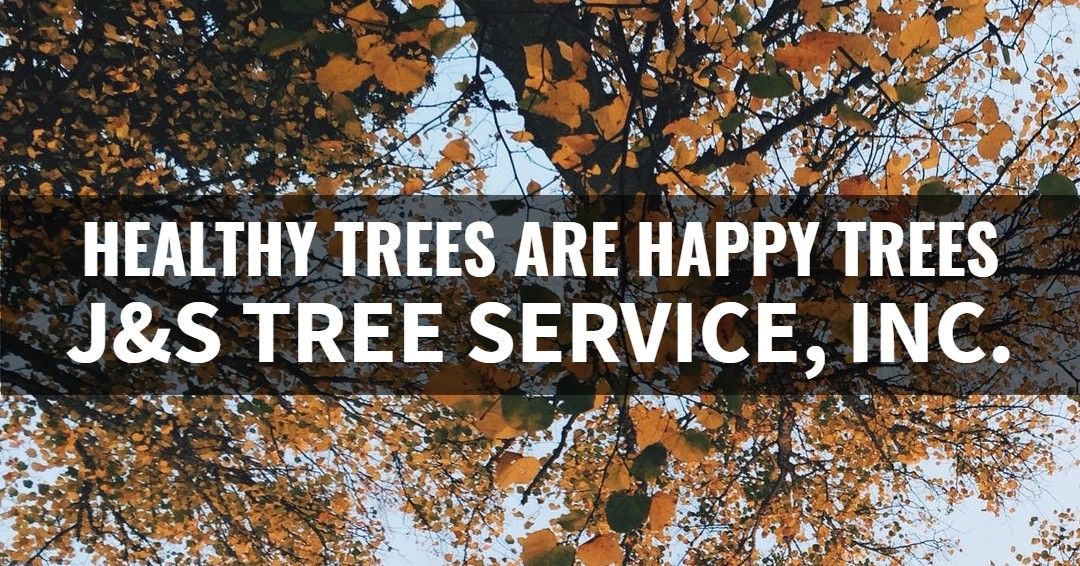 Healthy Trees are Happy Trees