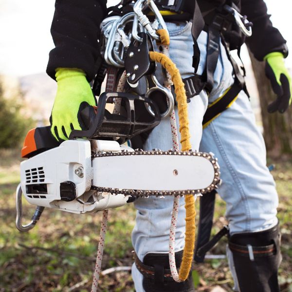 Arborist with a chainsaw