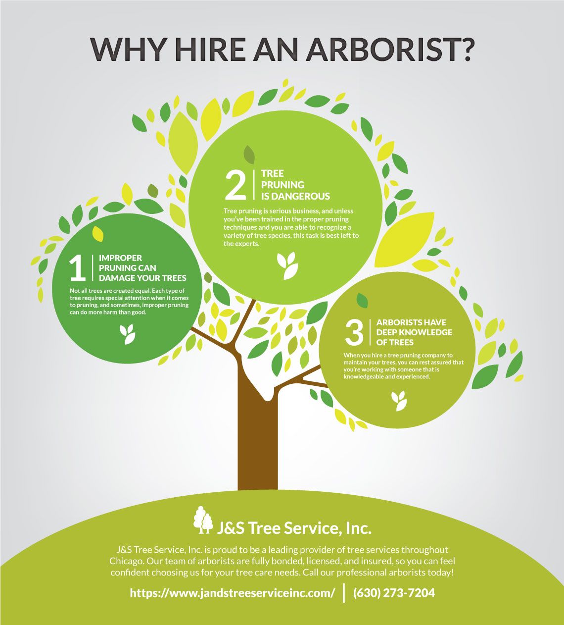 Why-Hire-An-Arborist