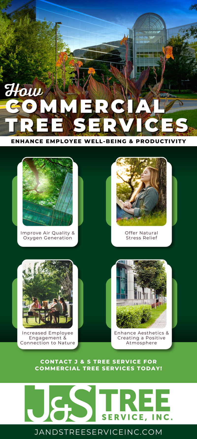 Infographic - How Commercial Tree Services Enhance Employee Well-Being and Productivity
