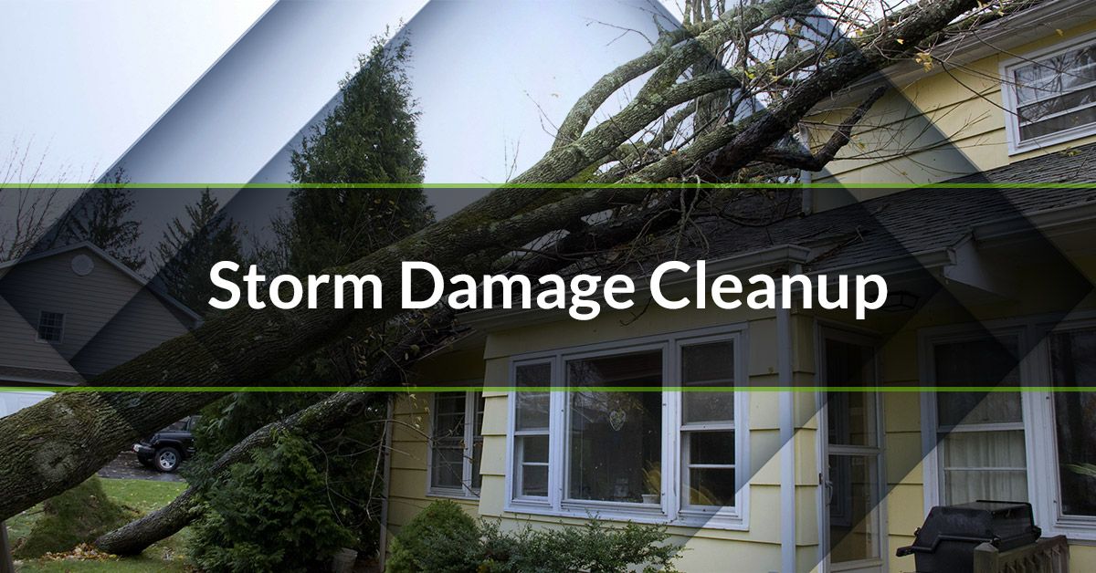 Storm Damage Cleanup