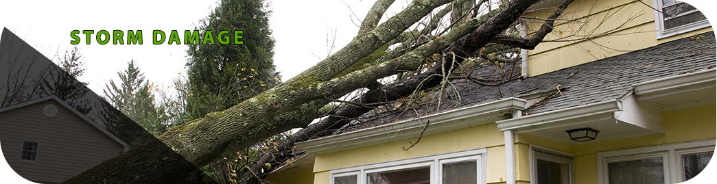 STORM DAMAGE