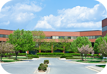 commercial building trees