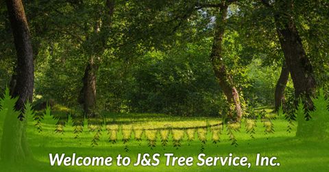 WELCOME TO J&S TREE SERVICE, INC.