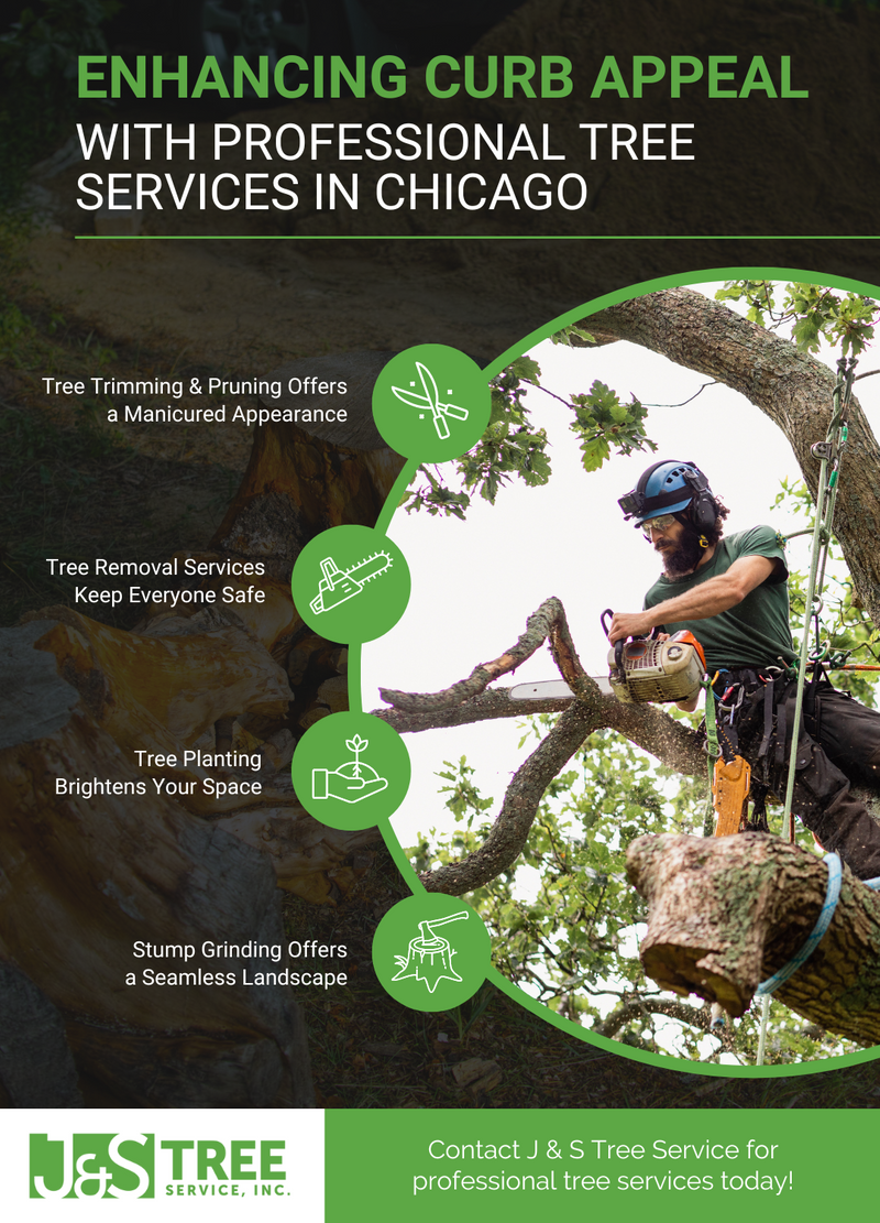 M11335 - J & S Tree Service - Infographic.png