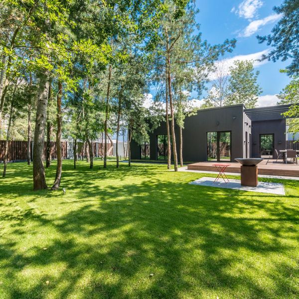 Trees at a residential property in the spring