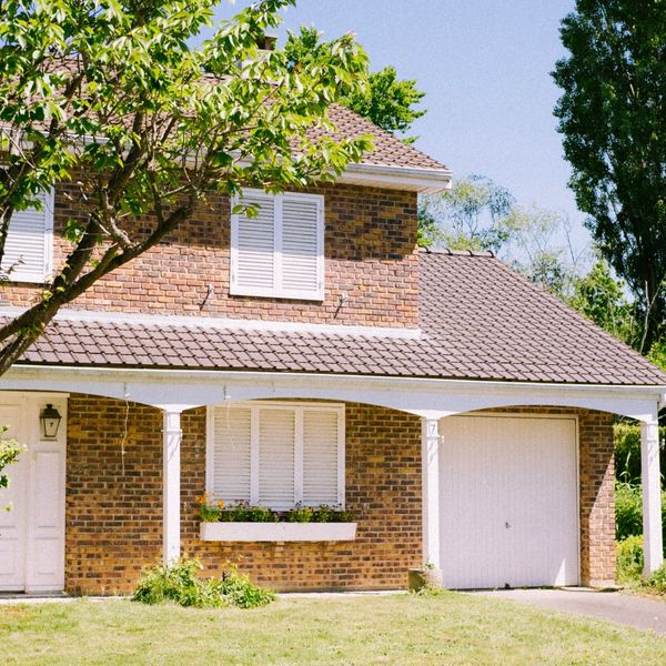 Trees at a residential property in the Summer