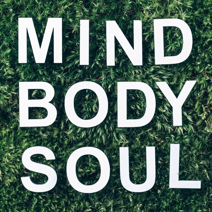 Words Mind Body Soul floating over grass