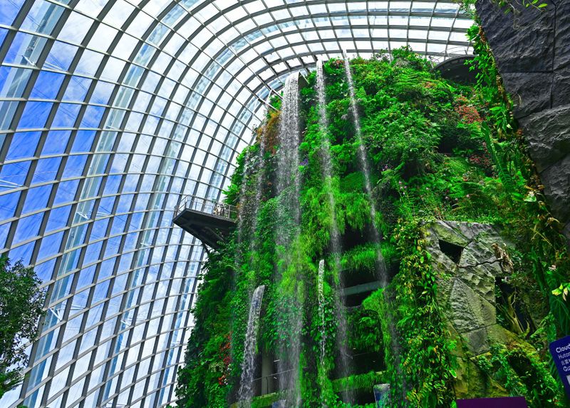 Biophilic Design