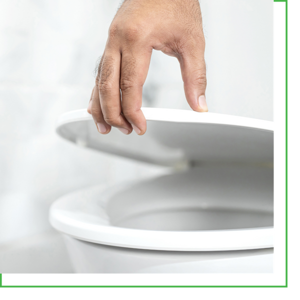 lifting toilet lid