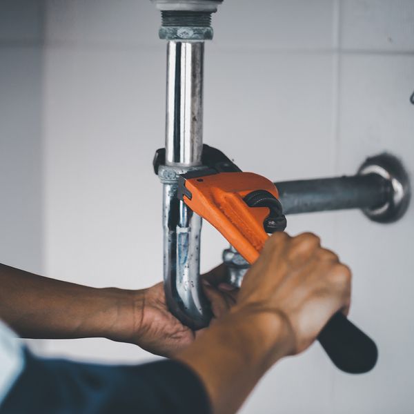 AdobeStock_538255750.jpeg