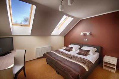 Bedroom with skylight windows