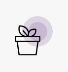 plant icon