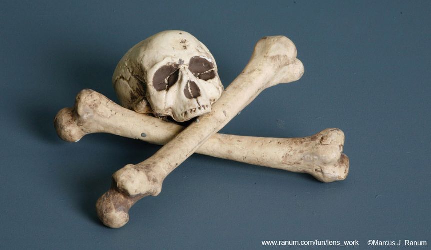 skull and cross bones