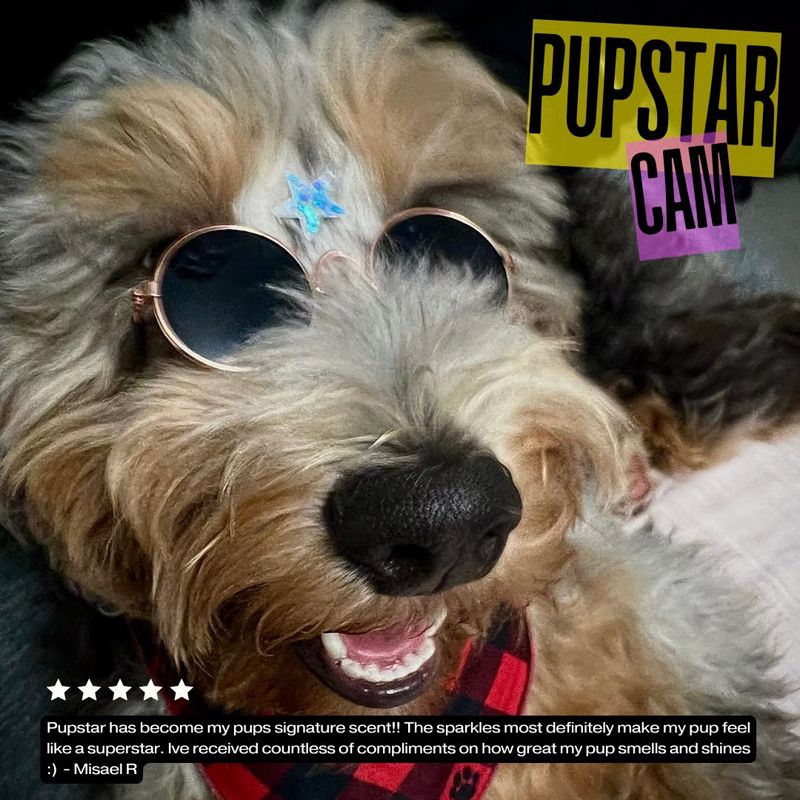 Pupstar cam: