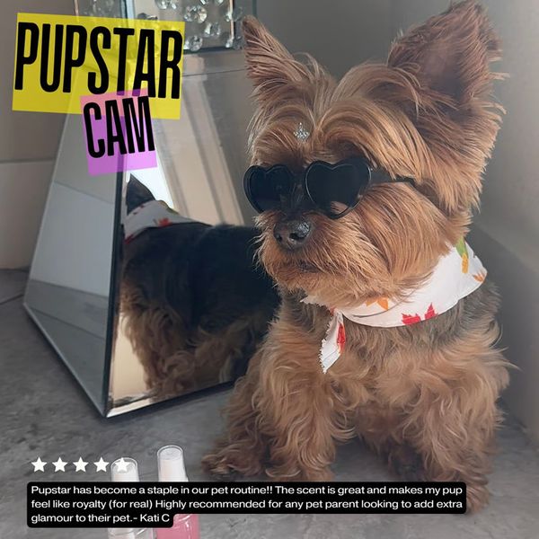 Pupstar has become a staple in our pet routine!! The scent is great and makes my pup feel like royalty (for real) Highly recommended for any pet parent looking to add extra glamour to their pet. -Kati C Pupstar Cam