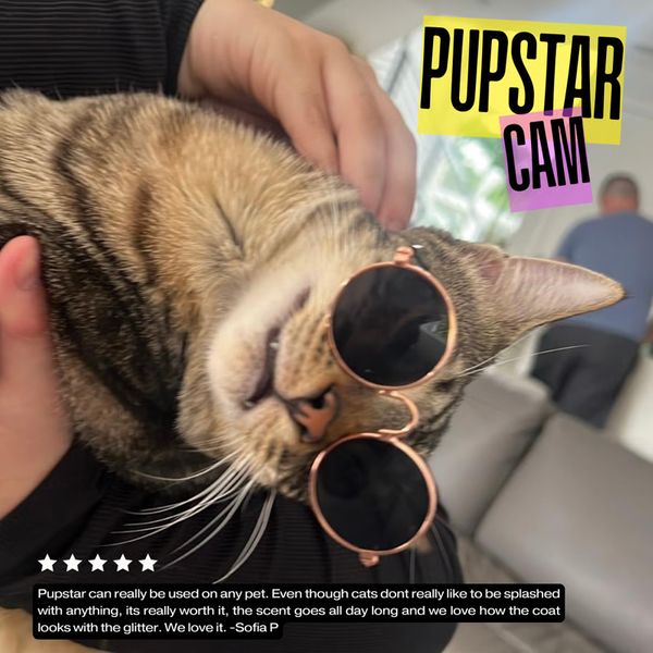 Pupstar can really be used on any pet. Even though cats dont really like to be splashed with anything, its really worth it, the scent goes all day long and we love how the coat looks with the glitter. We love it. -Sofia P. Pupstar Cam