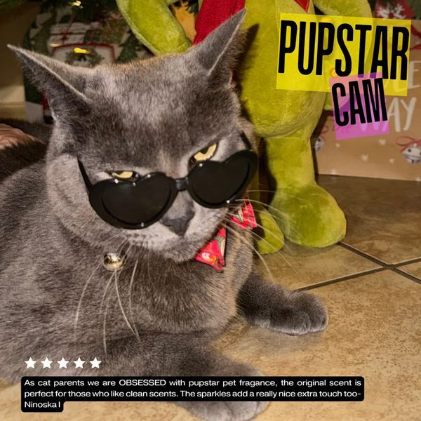 As cat parents we are OBSESSED with pupstar pet fragrance, the original scent is perfect for those who like clean scents. The sparkles add a really nice extra touch too — Ninoska I Pupstar Cam