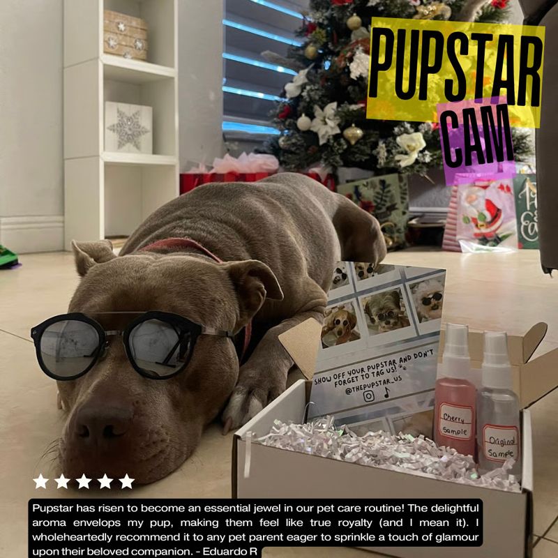 Pupstar Cam